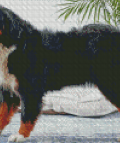 Bernese Mountain Dog Diamond Painting