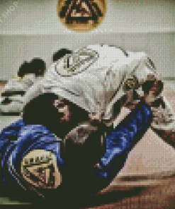 Brazilian Jiu Jitsu Gym Diamond Painting