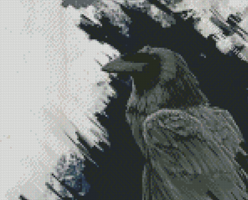 Common Raven Diamond Painting