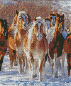 Herd Of Horses Diamond Painting