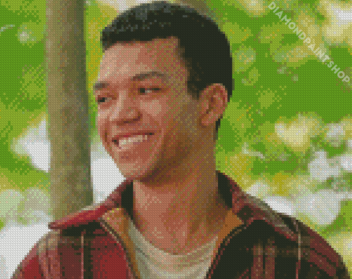 Justice Smith As Theodore Finch In All The Bright Places Diamond Painting