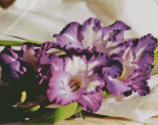 Purple Gladiolus Flowers Diamond Painting