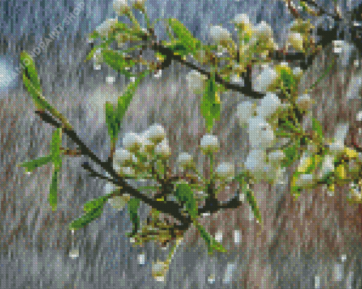 Rainy Spring Day Diamond Painting