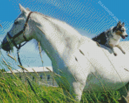 White Horse With Mini Aussie Dog Diamond Painting