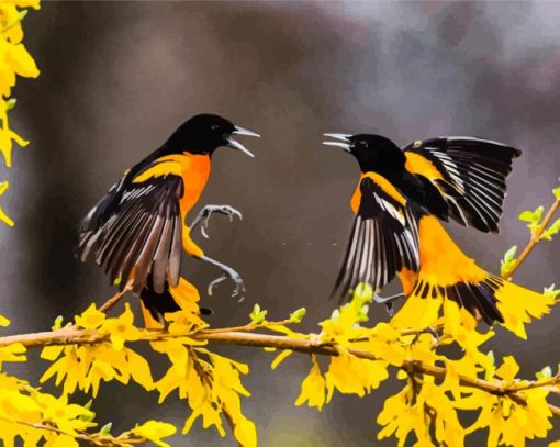 Baltimore Oriole Birds Diamond Painting