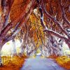 Dark Hedges Autumn Diamond Painting