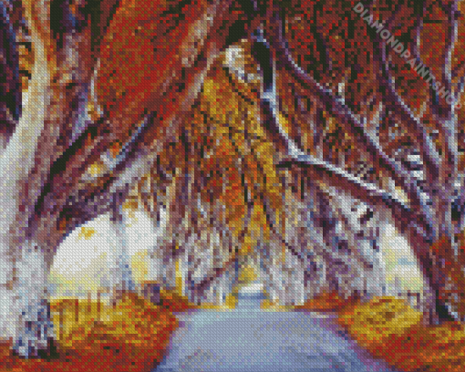 Dark Hedges Autumn Diamond Painting