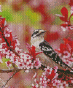 Downy Woodpecker Diamond Painting