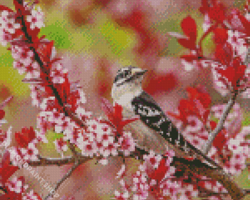 Downy Woodpecker Diamond Painting