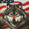 Grey Wolf And American Flag Diamond Painting