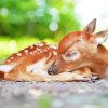 Sleepy Resting Deer Diamond Painting