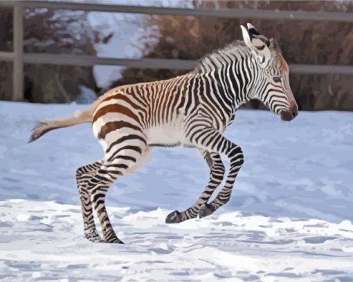 Zebra Baby Diamond Painting