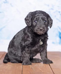 Black Goldendoodle Puppy Diamond Painting