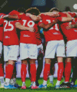 Charlton Team Diamond Painting