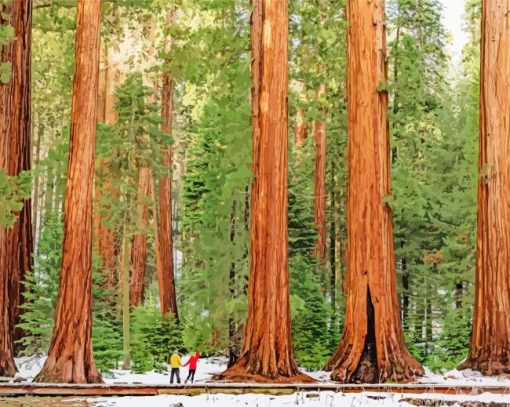 Sequoia National Forest Diamond Painting