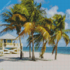 Biscayne Landscape Diamond Painting