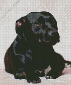 Staffordshire Bull Terrier Dogs Diamond Painting