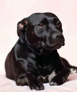 Staffordshire Bull Terrier Dogs Diamond Painting