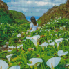 Woman In Calla Lily Valley Daimond Painting