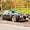 1978 Firebird Trans Am Diamond Painting