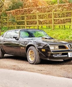 1978 Firebird Trans Am Diamond Painting