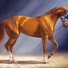 Brown Secretariat Diamond Painting