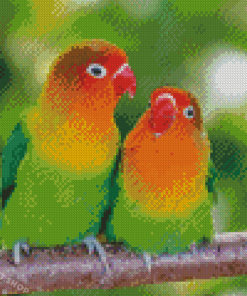 Cute Agapornis Diamond Painting