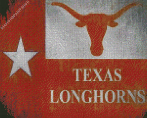 Texas Longhorn Flag Art Diamond Painting