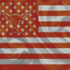 USA Texas Longhorn Flag Diamond Painting