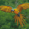 Flying Macaw Diamond Painting